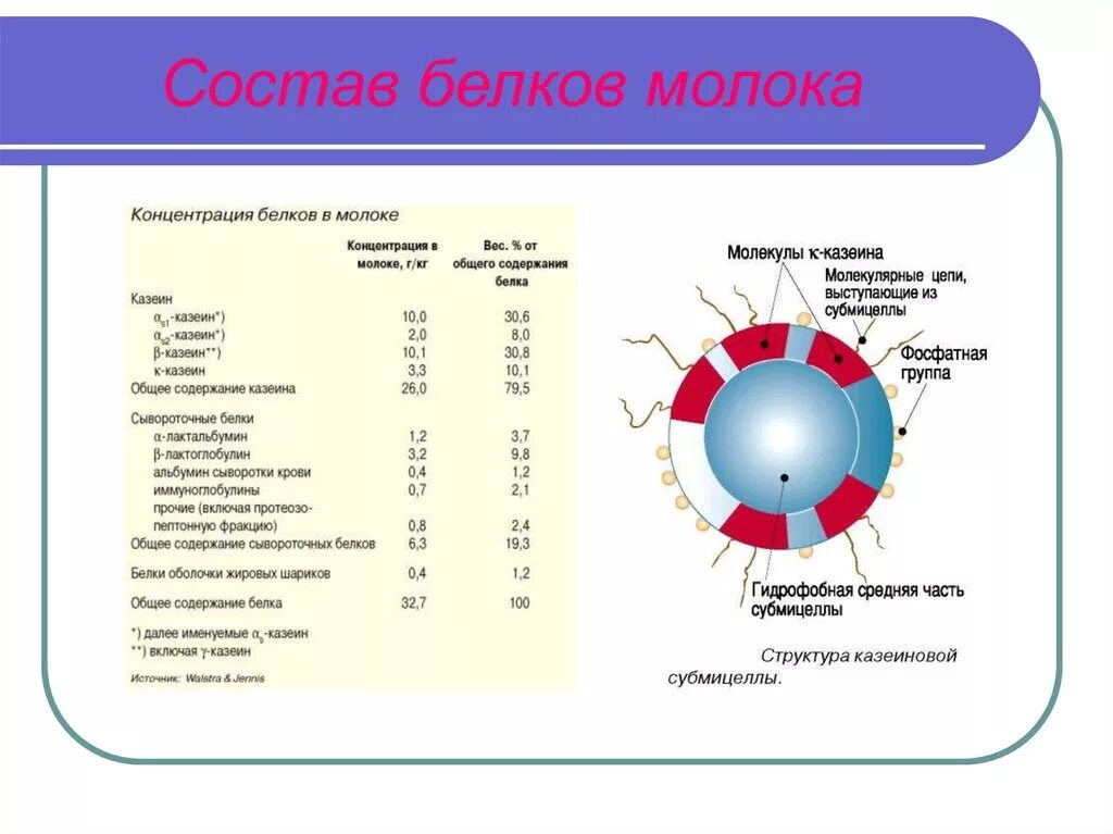 Молочный белок состав