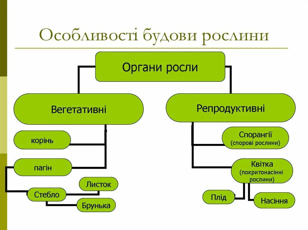 Речення офіційно ділового стилю. Особливості. Підрядне часу. Особливості це. Особливості це.