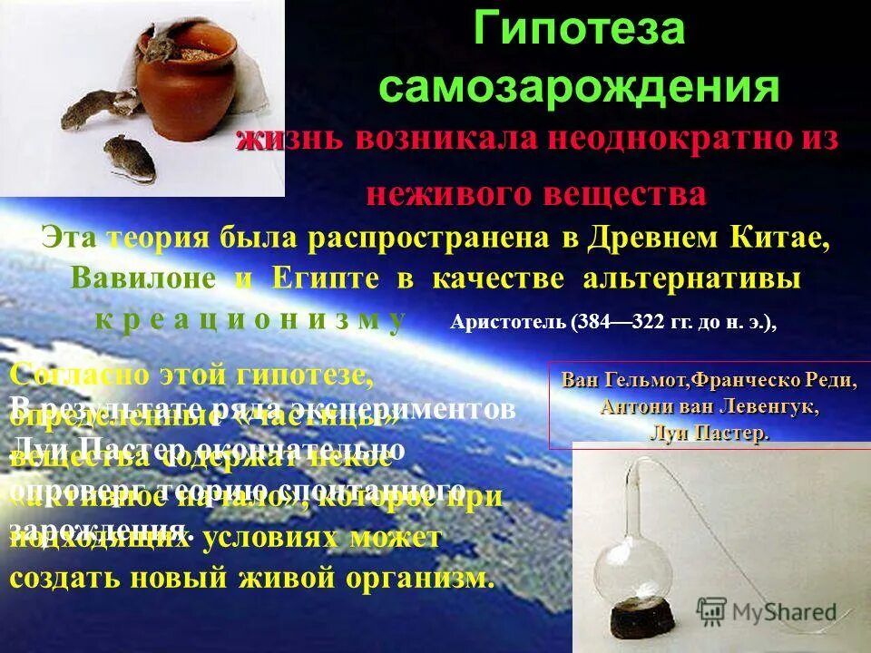 суть теории самозарождения заключается