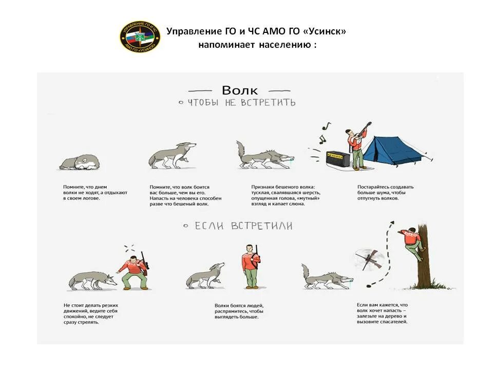 Памятка при встрече с дикими животными. Инфографика встреча с диким животным. Памятка при встрече с диким животным. Как вести себя при встрече с дикими животными. Поведение при встрече с диким животным