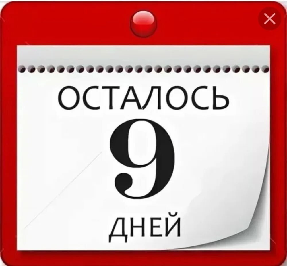 Осталось 9 дней. Осталось 9 дней до дня рождения. Осталось 9 дней картинки. Осталось 10 дней. 10 июня день недели