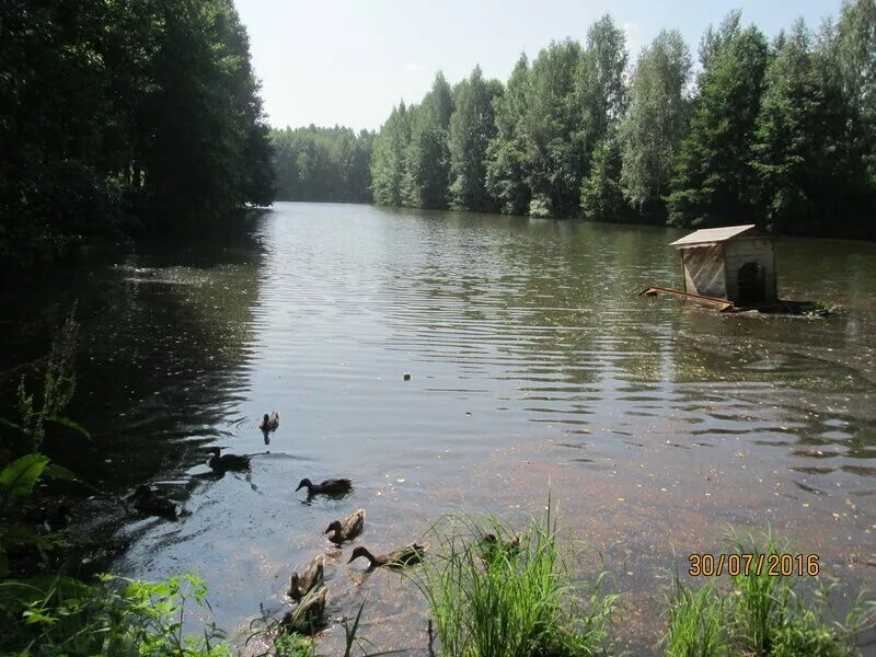 Озеро энгозеро карелия. Гроза черноголовка. Черноголовка ногинск речка. Река черноголовка московская область. Река черноголовка.