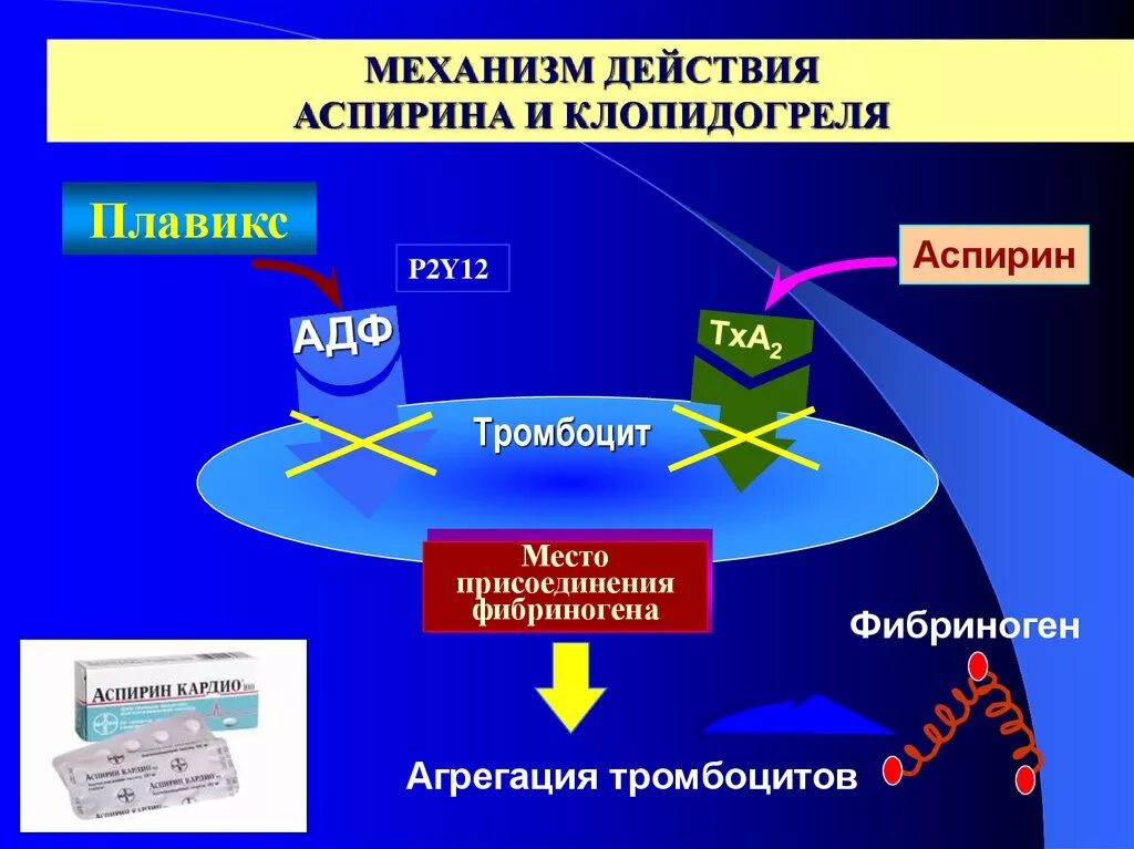 Клопидогрель механизм антиагрегантного действия. Механизм антиагрегационного действия аспирина:. Аспирин механизм действия. Механизм действия аспирина и клопидогреля. Клопидогрел механизм действия