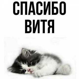 Полное имя вите