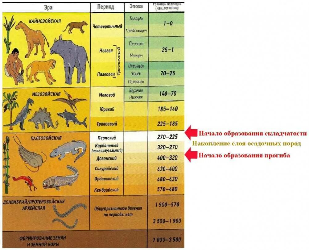 Геохронология земли эры периоды. Эры развития земли в хронологическом порядке. Периоды жизни динозавров на земле таблица по Эрам. Геология таблица геологических периодов. Заполните ленту времени развития жизни на земле