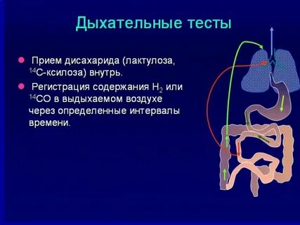 Дыхательный тест на фруктозу