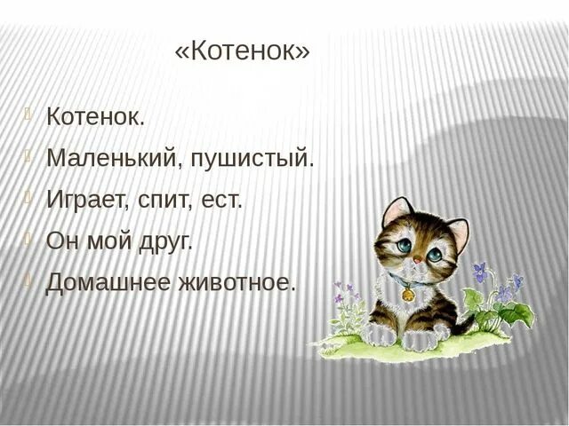 Прочитайте слова котенок. Синквейн кошка. Синквейн на тему котенок. Токмакова котята синквейн. Синквейн на тему кот.