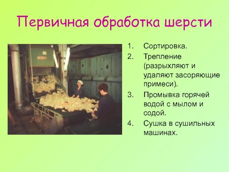 Первичная обработка шерсти. Первичная обработка шерчои. этапы первичной обработки шерсти. переработка шерсти.