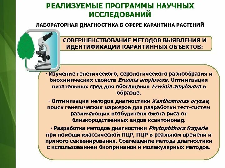 Государственная программа научных исследований. Исследования карантинных растений. методы исследований в карантине растений. исследования по карантину растений. методы обследования на выявления карантинных объектов.