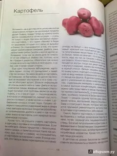 Еда меняющая