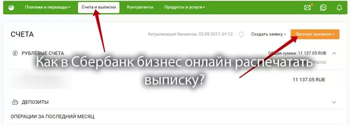 Сбербанк личный кабинет выписка. Выписка со Сбера бизнес. Выписка Сбербанк бизнес.