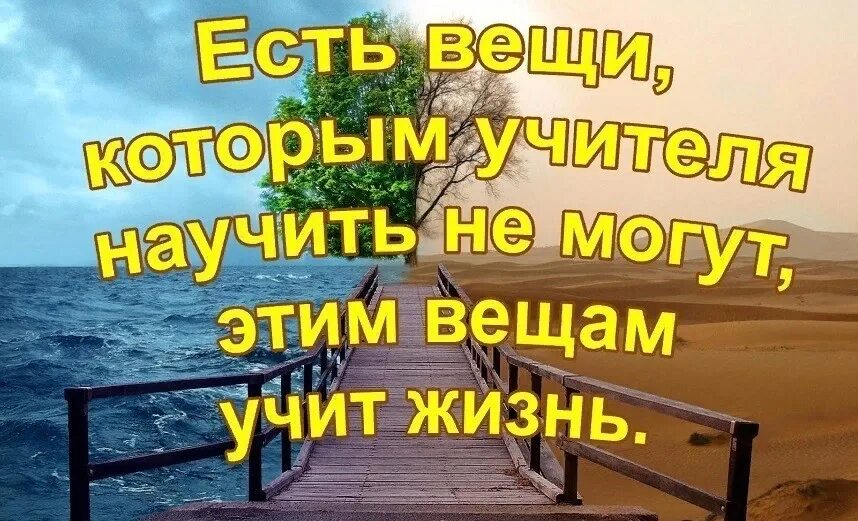 Надо учиться жить. Жизнь учит цитаты. Жизнь многому учит. Жизнь всему научит. Стихи жизнь научит всему:.