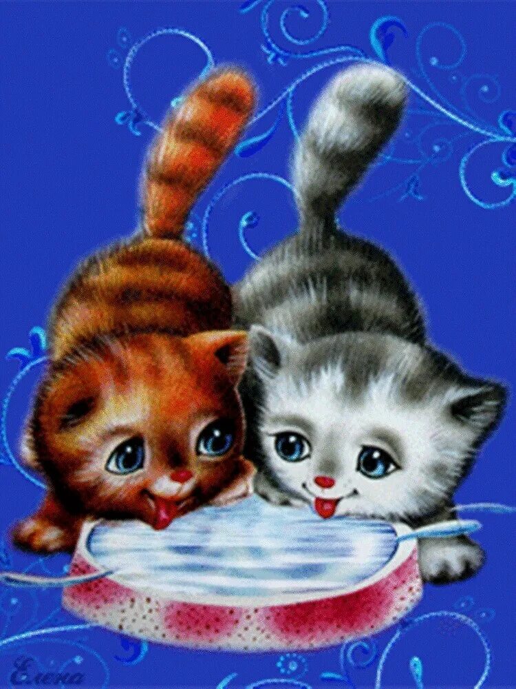 Мерцающие котята. Открытки с котятами красивые. Черный котенок. Котенок анимация на прозрачном фоне. Анимированные котята.