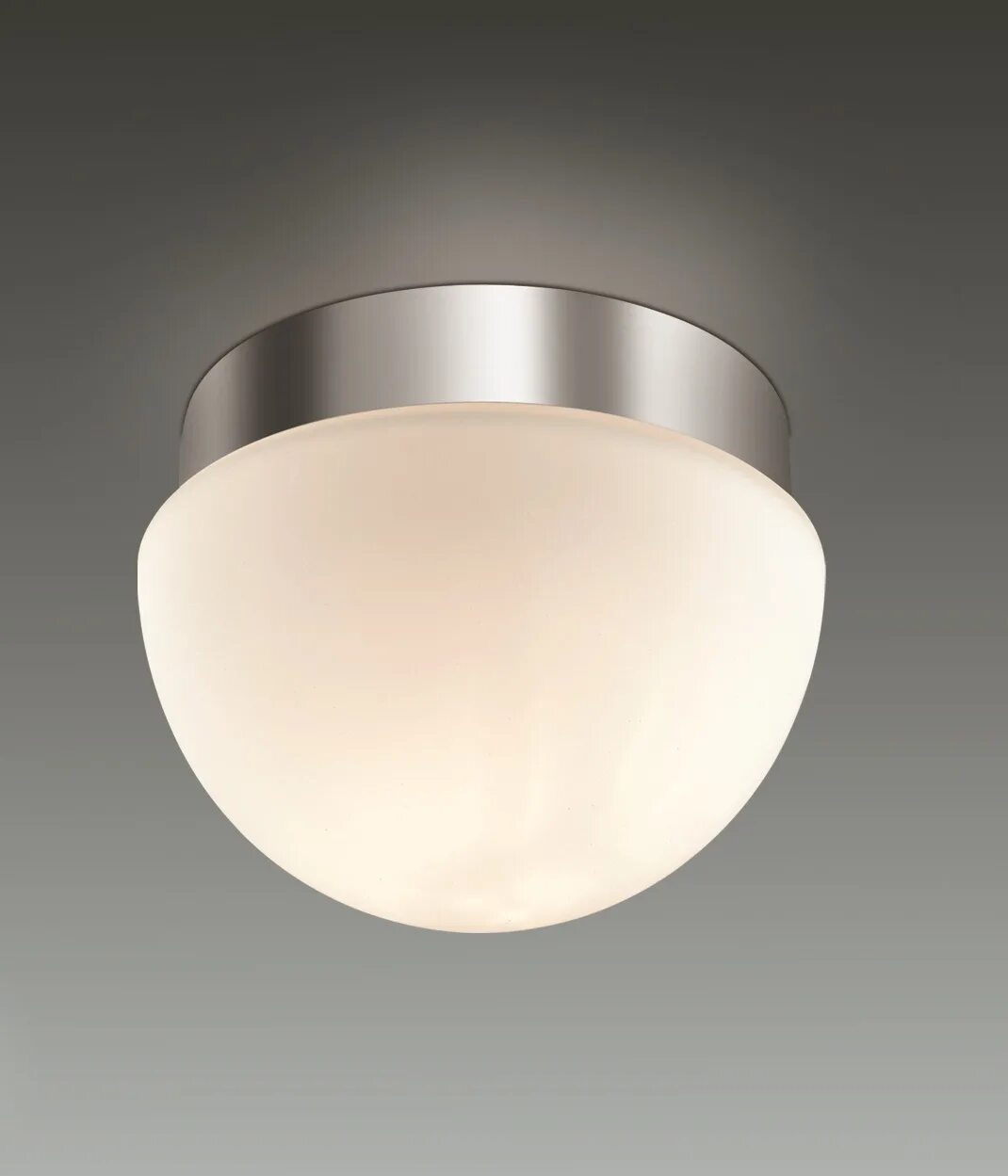 Odeon light latte. Odeon light minkar [2443/1a]. odeon light minkar. светильник потолочный 2443/1a. потолочный светильник odeon light.