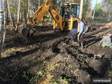 Выкорчевывание деревьев область