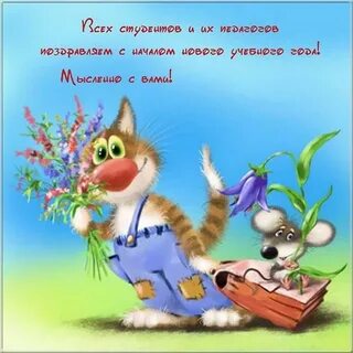 Кот 1 сентября