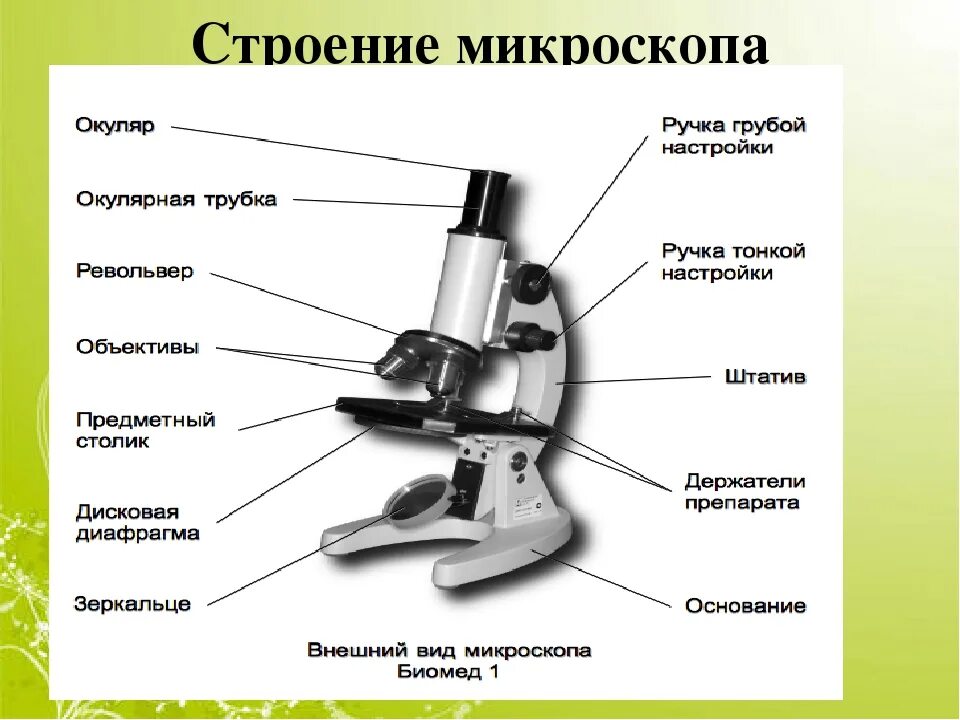 Какую функцию выполняет столик в микроскопе. Микроскоп строение микроскопа. Строение микроскопа макровинт. Оптический микроскоп строение. Строение микроскопа Микмед.