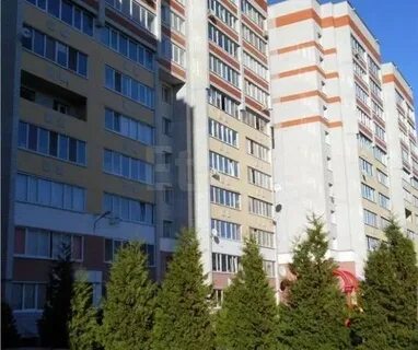 Пилот брянск