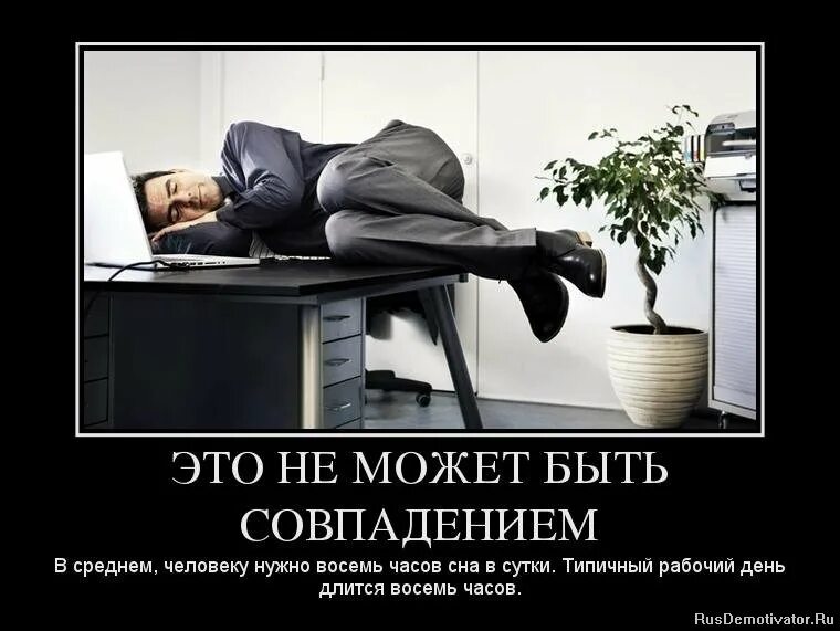 Срелняя скррростт человек. Как погят что человек врёт. Важность здорового сна. Почему человек не может обходиться без сна. Без сна человек может прожить.