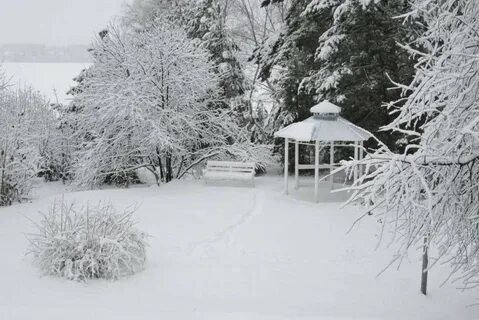 Зимний бердск