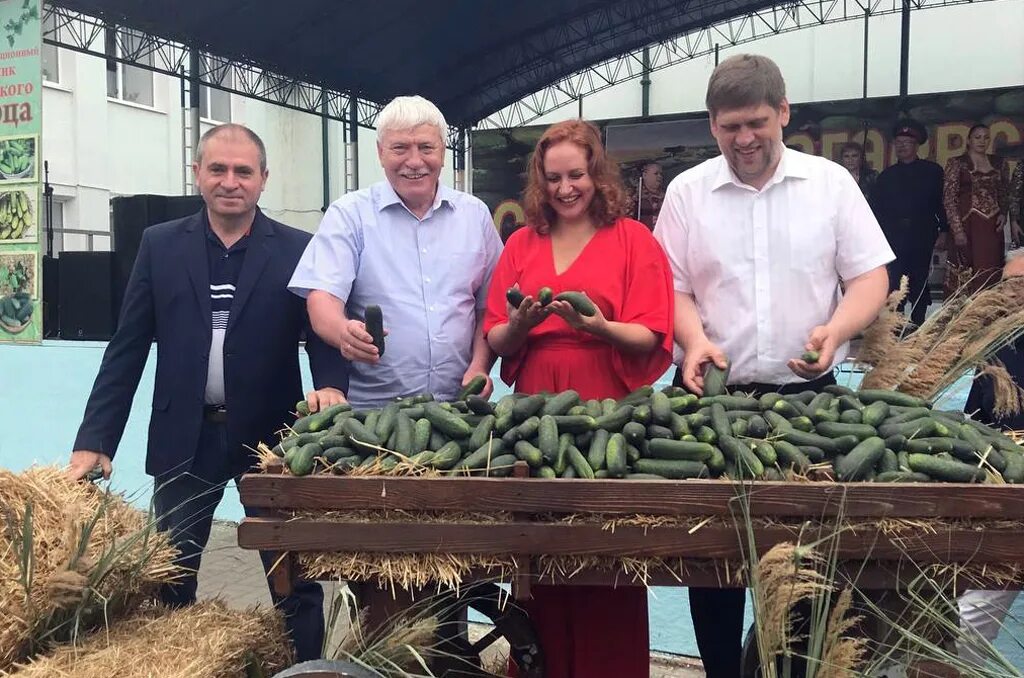 День огурца ростов. Праздник огурца Багаевская. День огурца в Багаевской. Праздник огурца в станице Багаевская. Международный день огурца.