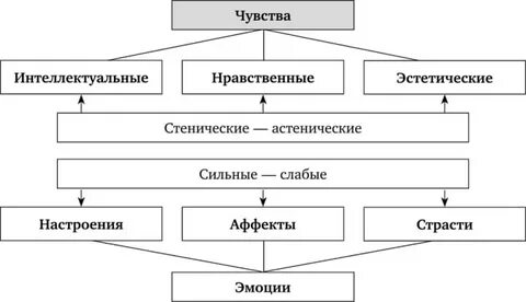 Виды чувств нравственные интеллектуальные эстетические