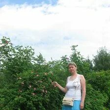 Елена терехина после проекта жизнь