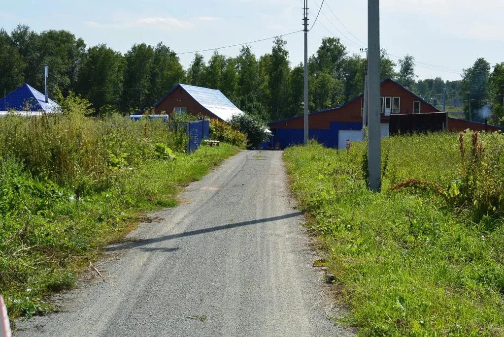 Погода в плотниково новосибирская. Плотниково (Новосибирский район). Деревня Плотниково Новосибирская область. Новосибирск село Плотниково. Село Плотниково Новосибирского района.