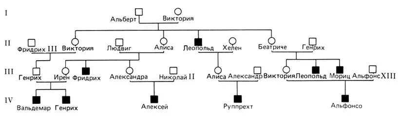 Условные обозначения в генеалогическом древе. Обозначения в родословной. Родословная обозначения в генетике. Генеалогическое Древо обозначения. Генеалогическое Древо обозначения генеалогии.