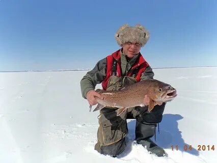 Сережа рыба