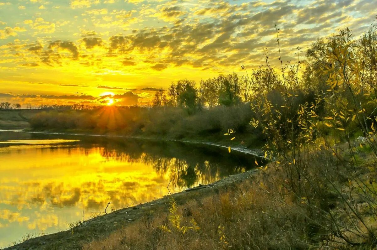 Фото солнце россия. Река солнце. Природа рассвет. На Восходе солнца. Утренний рассвет.