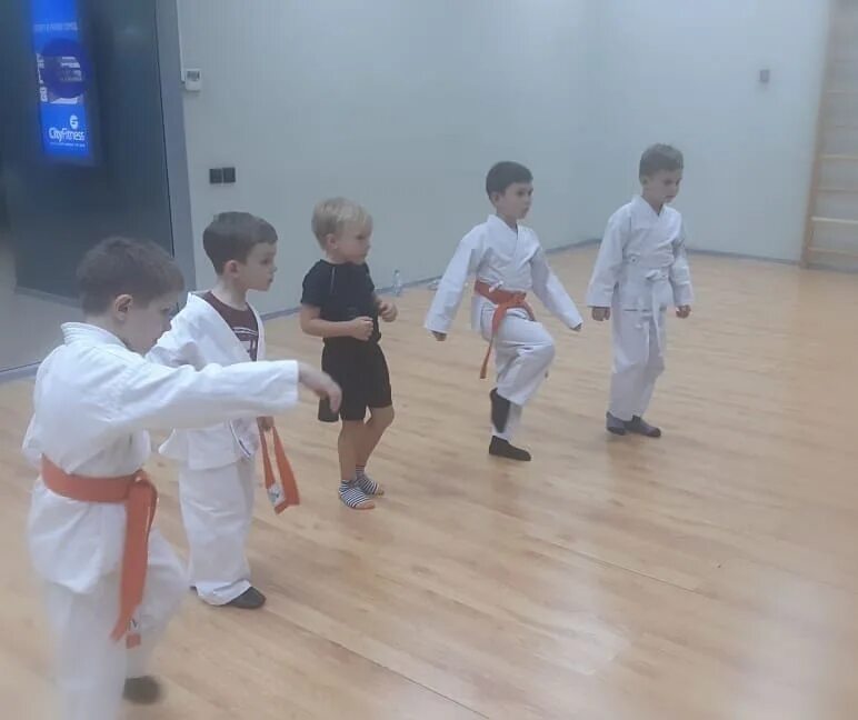 карате екатеринбург мебель