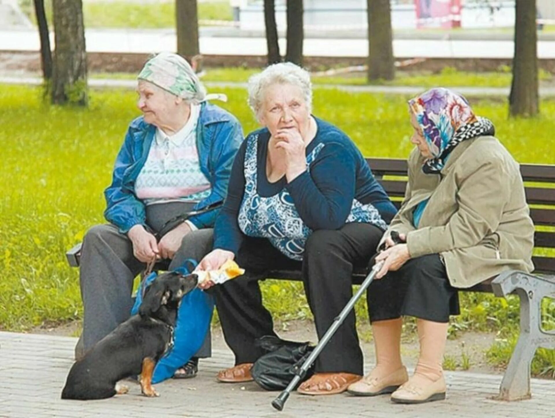 Пенсионер мо. Пенсионеры. Российские пенсионеры. Веселые пенсионеры. Веселые российские пенсионеры.