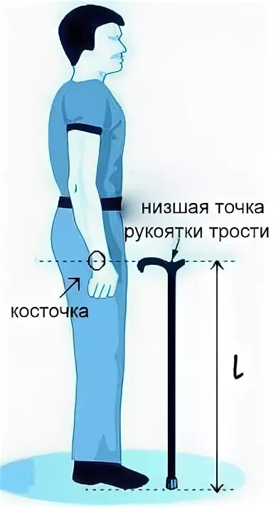 Правильная высота трости. Как выбрать трость. Подобрать трость по росту. Как правильно подобрать трость