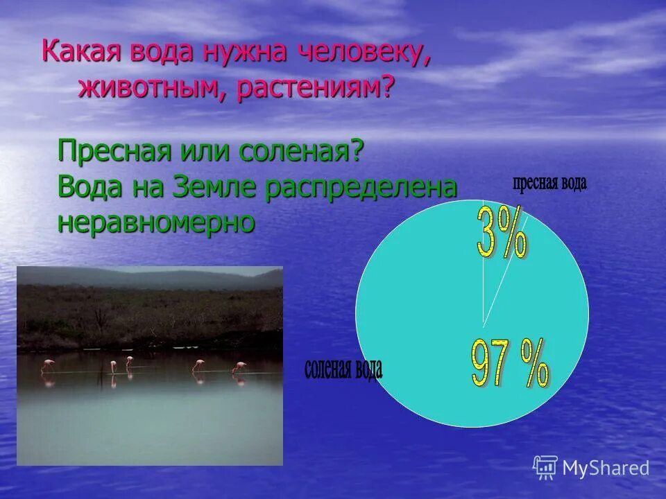 Соленая несоленая вода