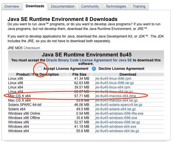 Java 8 update что это. Джава "1.8.0_51". Java 8.0.450. Java 8 update 45