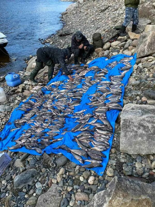 подтесово красноярский край. рыбалка в красноярском крае зимой. рыбалка на тунгуске 1960-е. лодка с пассажирами. катер "спасатель".