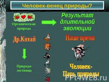 Заполните в тетради таблицу человек венец природы