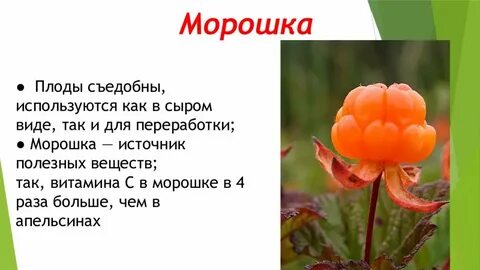 Песня про морошку