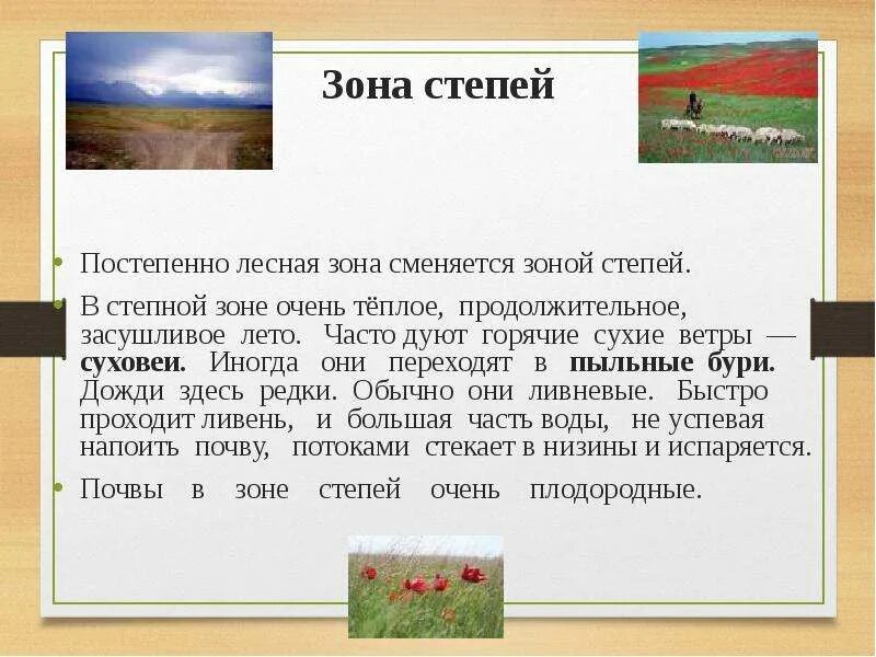 Природные зоны степи почва. Степи вывод. Описание степи. Сообщение о зоне степей. Природная зона степь описание.