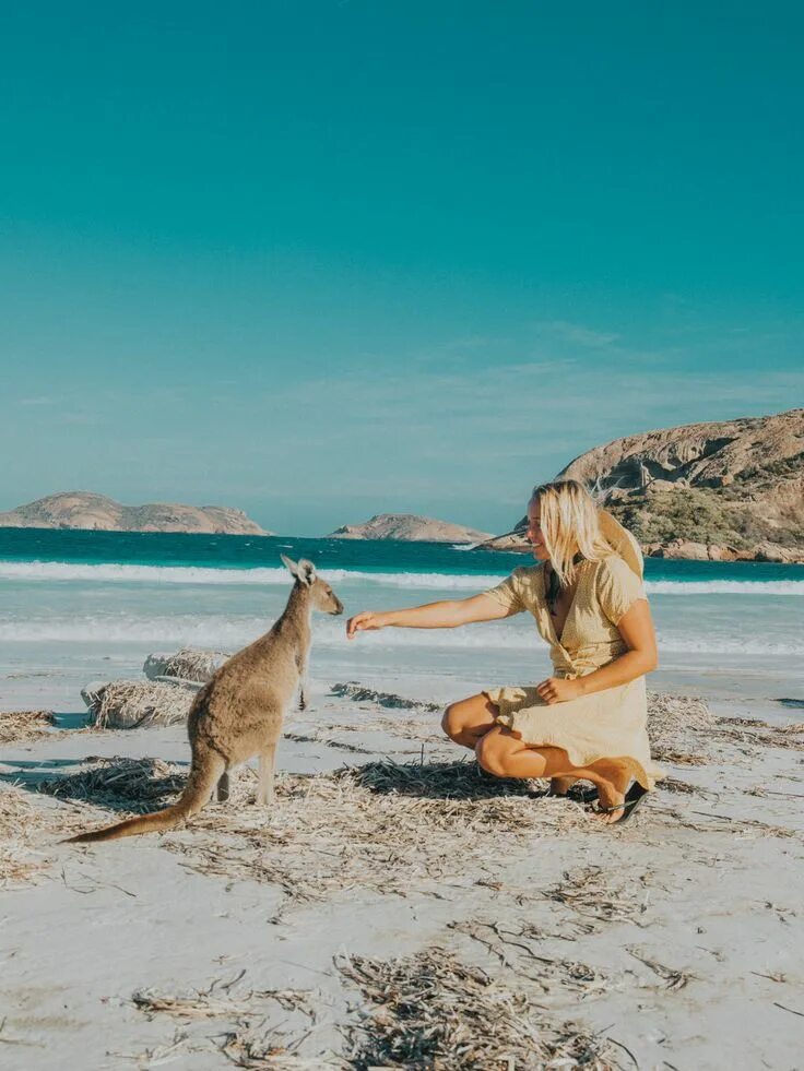Деловой этикет в австралии. Travel to australia. Сидней и мельбурн. Путешествие в австралию. Сидней австралия.