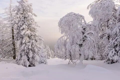 Середина декабря