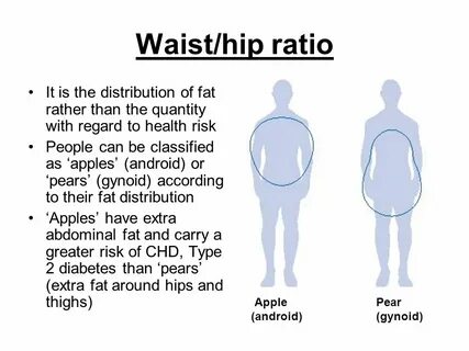 Waist hip