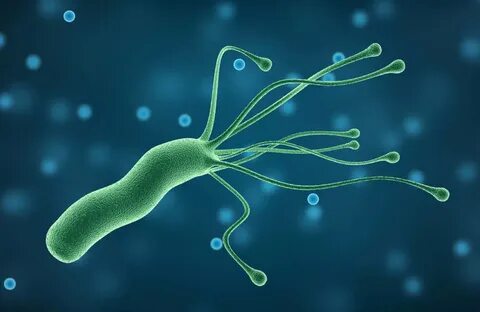 Инфекция н pylori