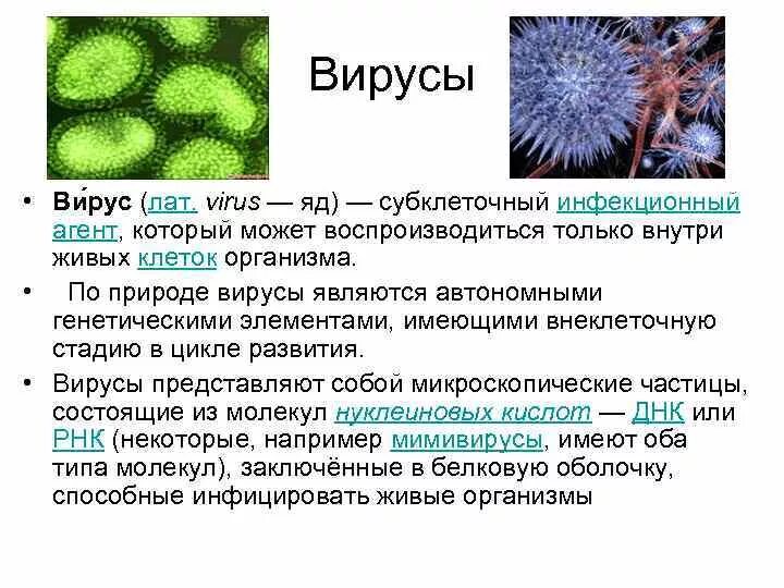 Вирус является формой жизни