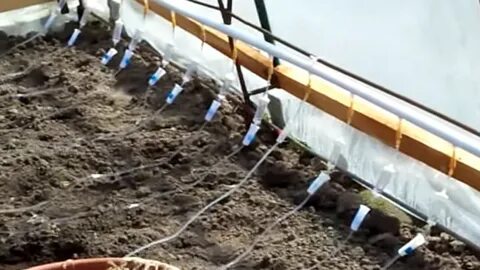 Как сделать капельный полив теплицы своими руками