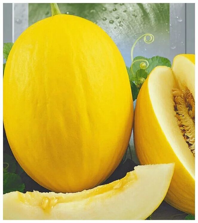 Дыня сибирская медовая f1. Дыня медовая f1. Дыня медовая f1. Семена дыня медовая сказка. Дыня медовая f1.