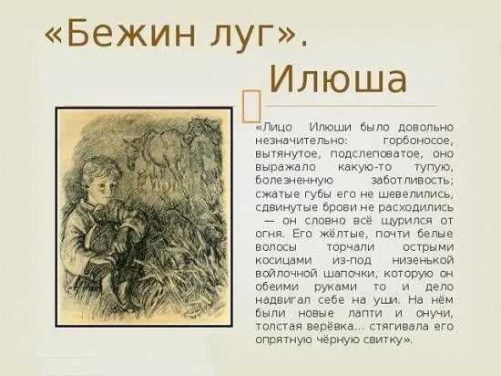 Читательский дневник бежин луг тургенева. Описание илюши из бежин луг. описание илюши из рассказа бежин луг. илюша бежин луг характеристика. бежин луг главные герои.