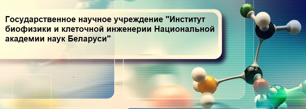 Растения в пробирках. Институт клеточной инженерии. Институт клеточной инженерии. Генномодифицированные организмы. Примеры работ биофизика.