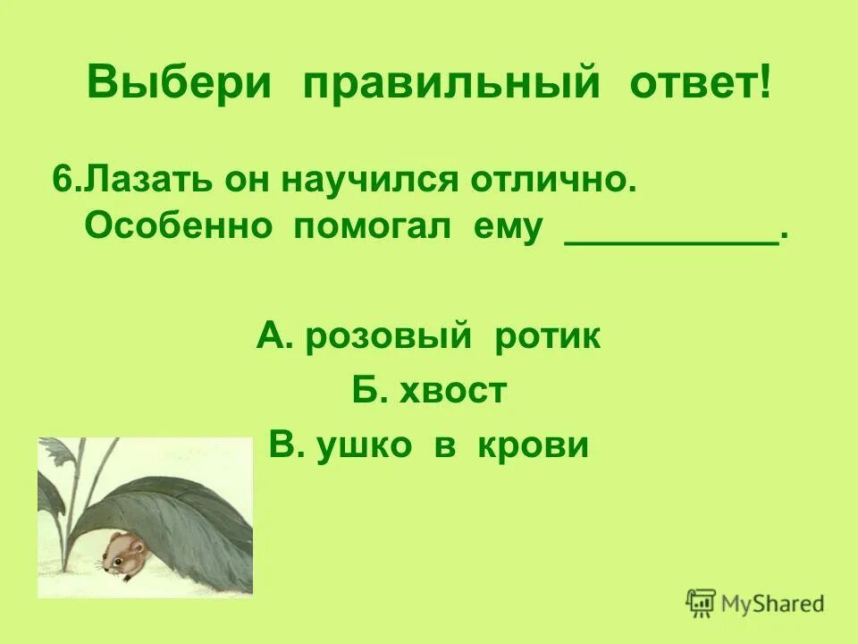В. Литературное чтение мышонок пик. Мышонок пик литературное чтение 3 класс. Кроссворд мышонок пик 3 класс. "мышонок пик".
